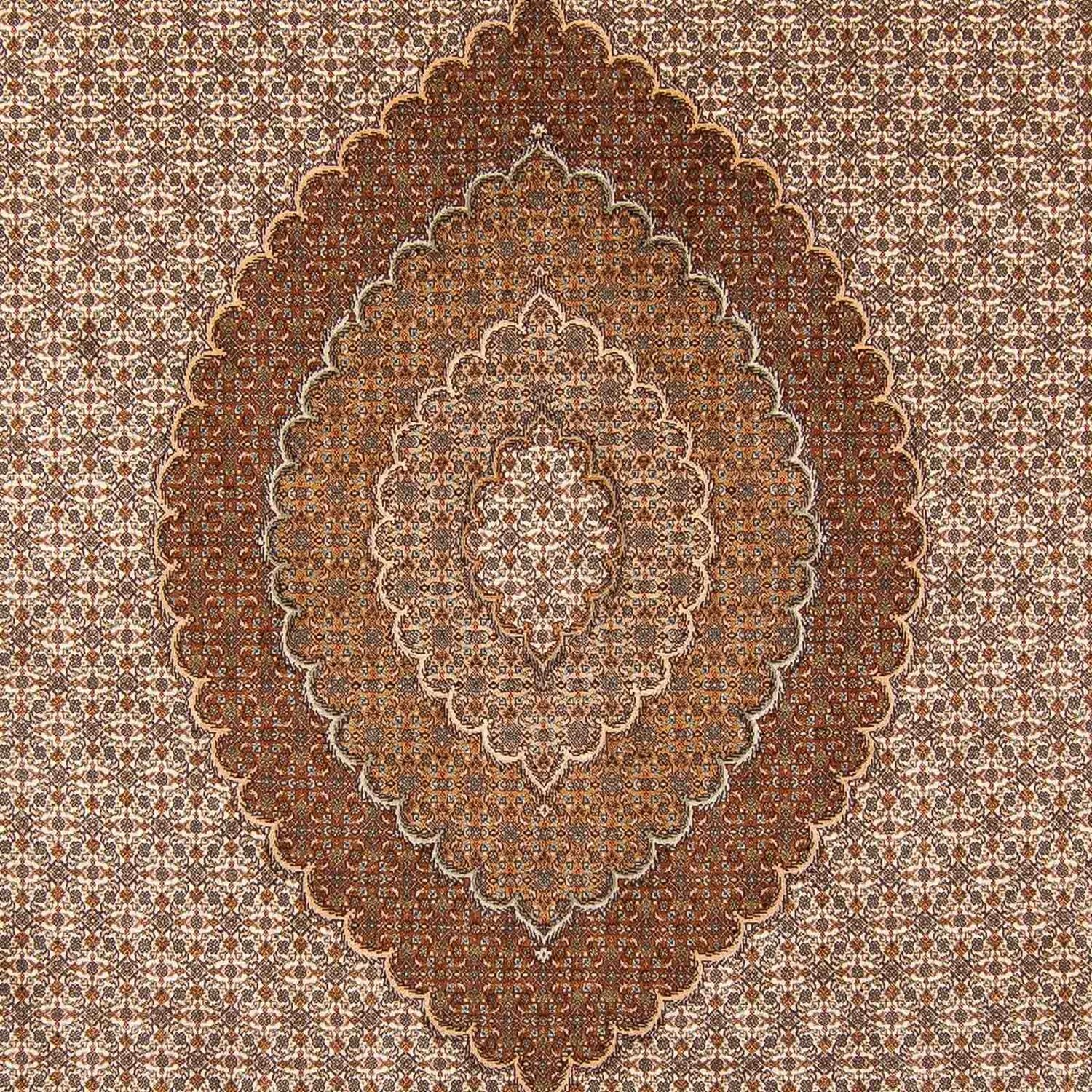 Tapis persan - Tabriz - 360 x 249 cm - marron clair