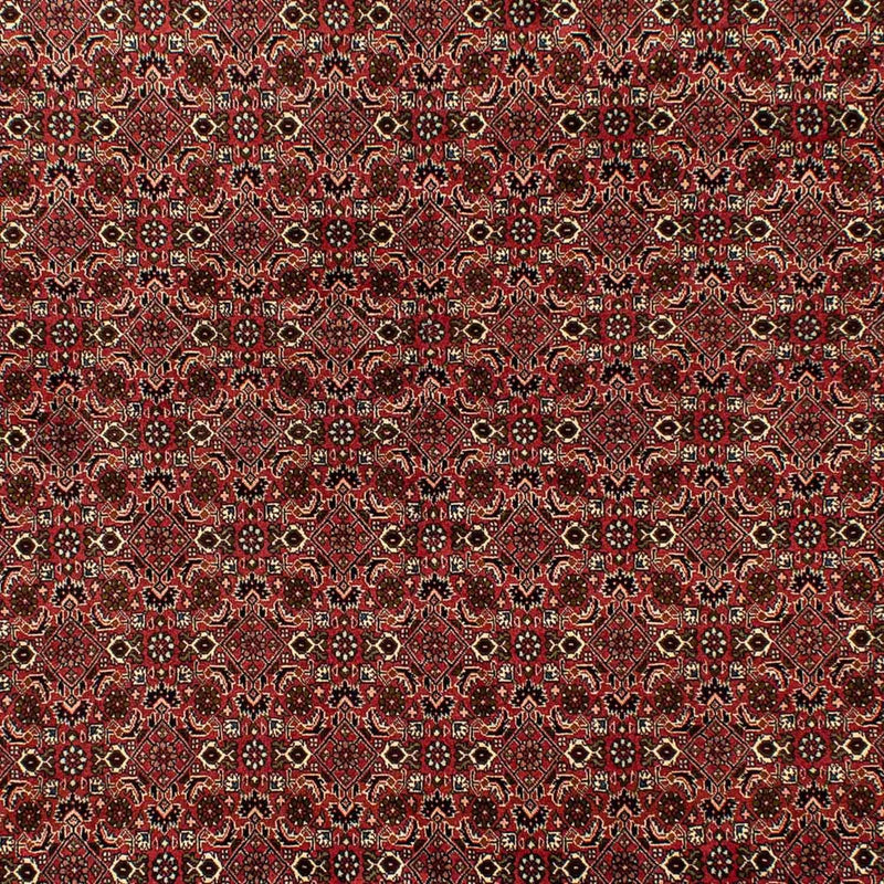 Tapis persan - Bidjar - 284 x 202 cm - marron