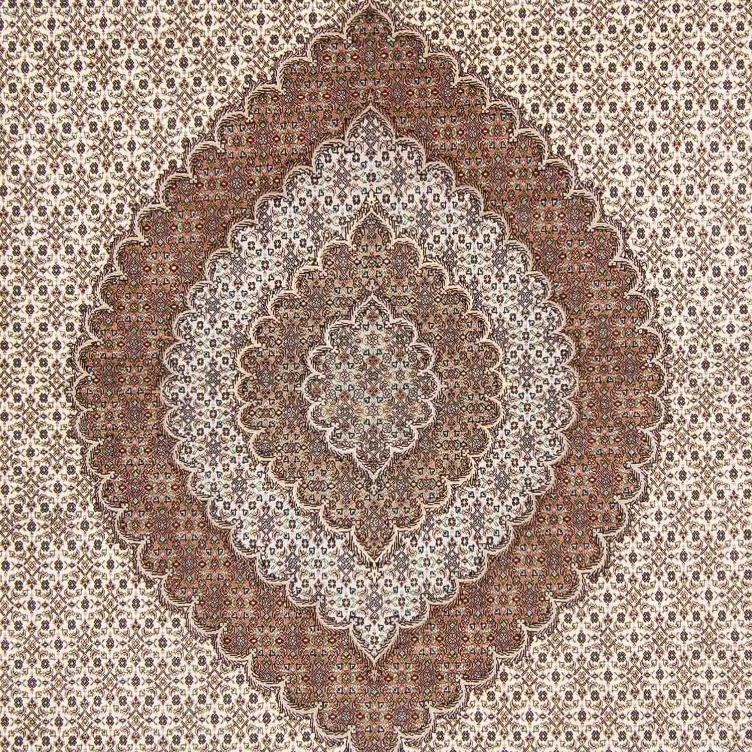 Tapis persan - Tabriz - 350 x 252 cm - marron clair