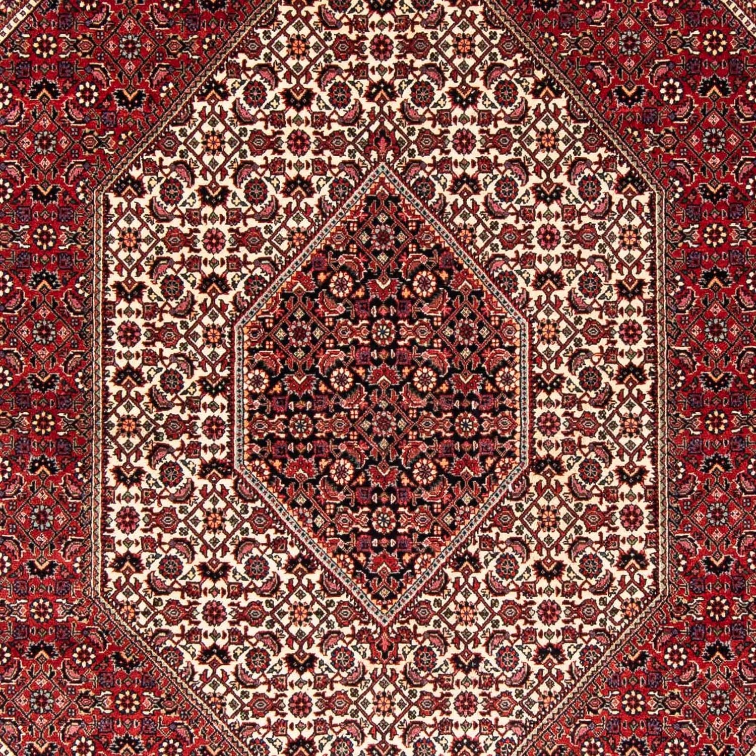Tapis persan - Bidjar - 242 x 170 cm - rouge