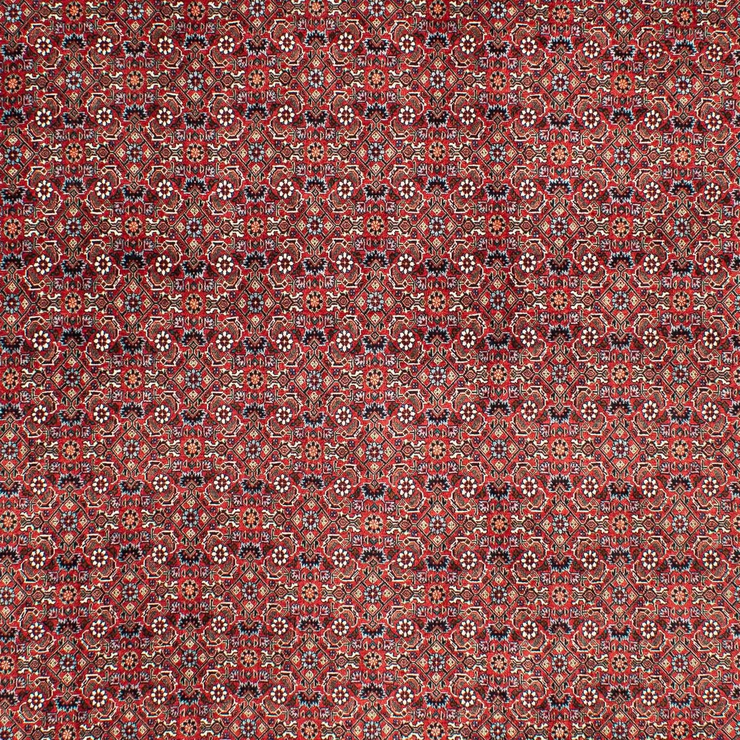 Tapis persan - Bidjar - 290 x 203 cm - rouge foncé