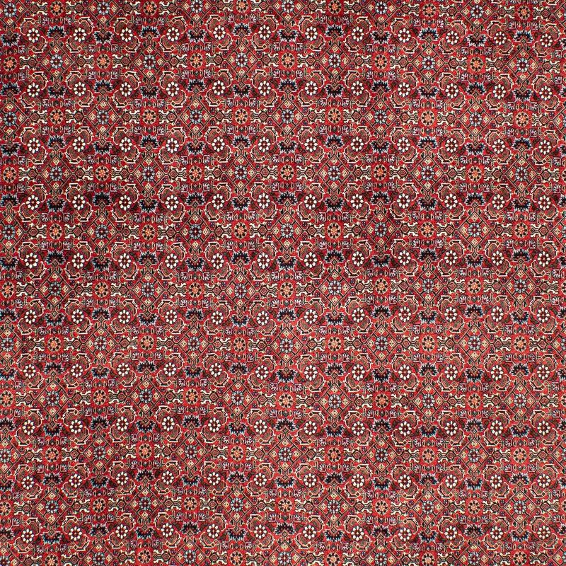 Tapis persan - Bidjar - 290 x 203 cm - rouge foncé