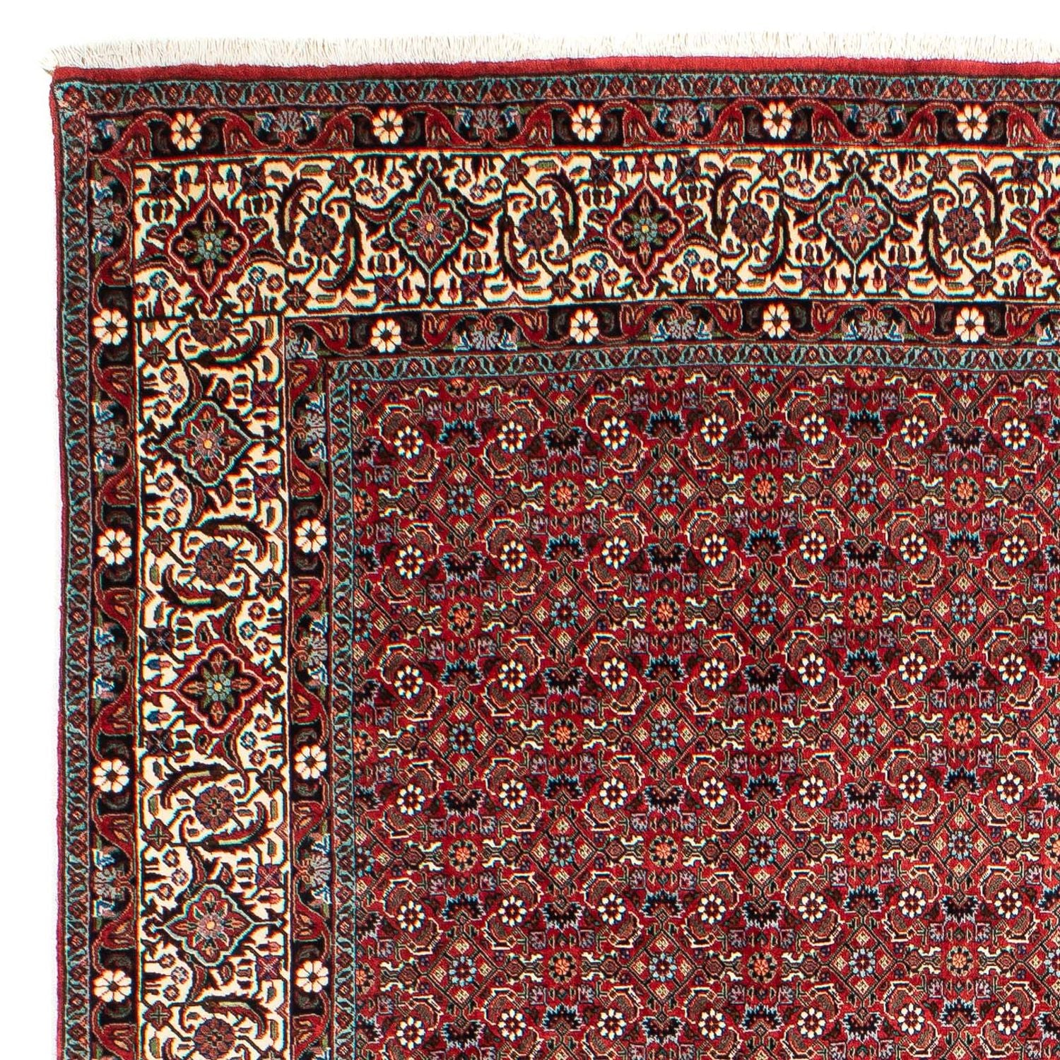 Tapis persan - Bidjar - 290 x 203 cm - rouge foncé