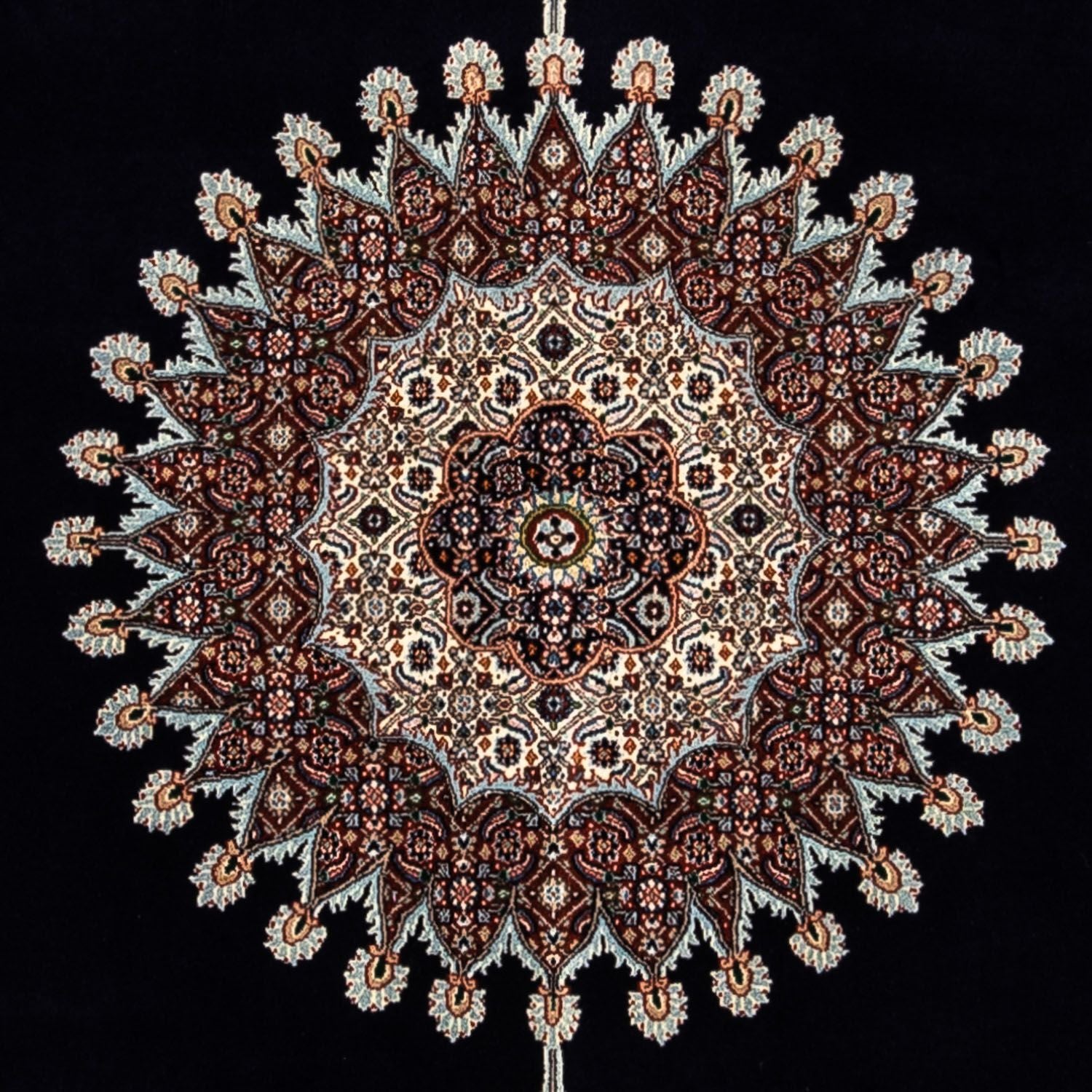 Tapis persan - Classique - 344 x 239 cm - noir
