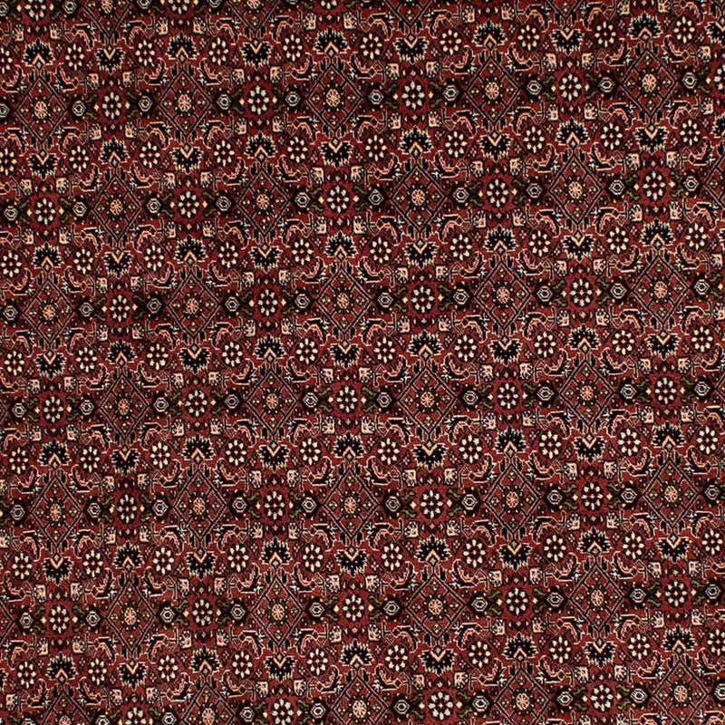 Tapis persan - Bidjar - 293 x 198 cm - marron