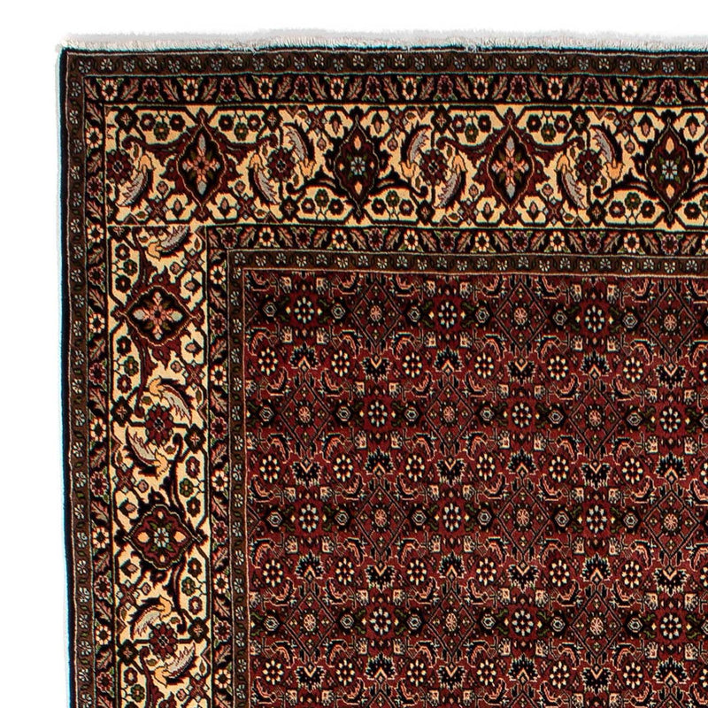 Tapis persan - Bidjar - 293 x 198 cm - marron