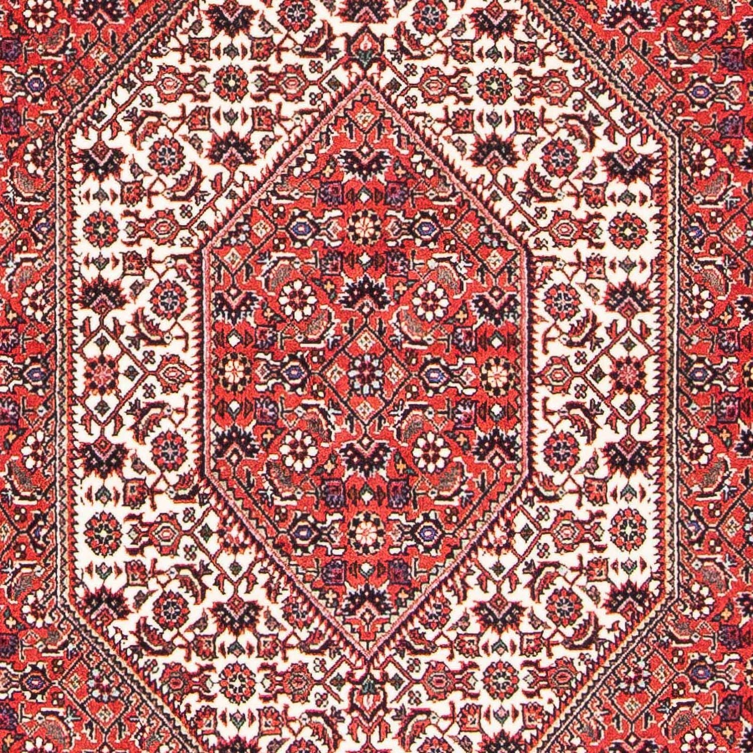 Perserteppich - Bidjar - Royal 175 x 108 cm - hellrot