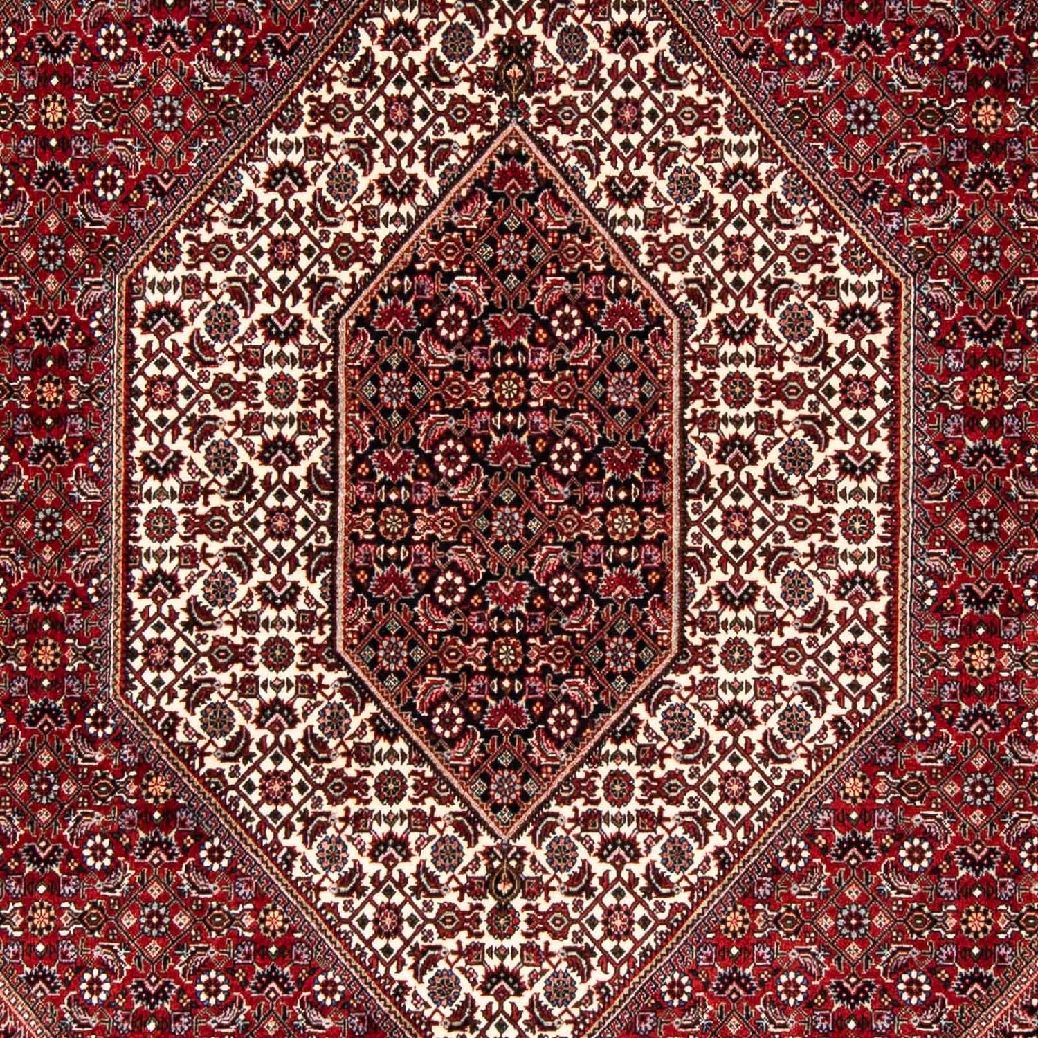 Tapis persan - Bidjar - 243 x 167 cm - rouge
