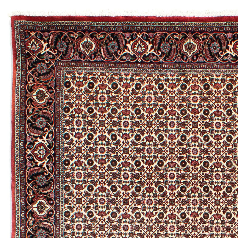 Tapis persan - Bidjar - 294 x 200 cm - beige