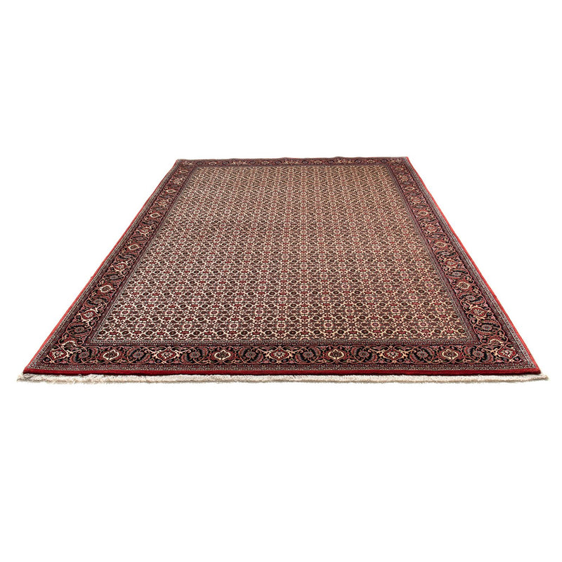 Tapis persan - Bidjar - 294 x 200 cm - beige