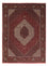 Perserteppich - Bidjar 245 x 172 cm