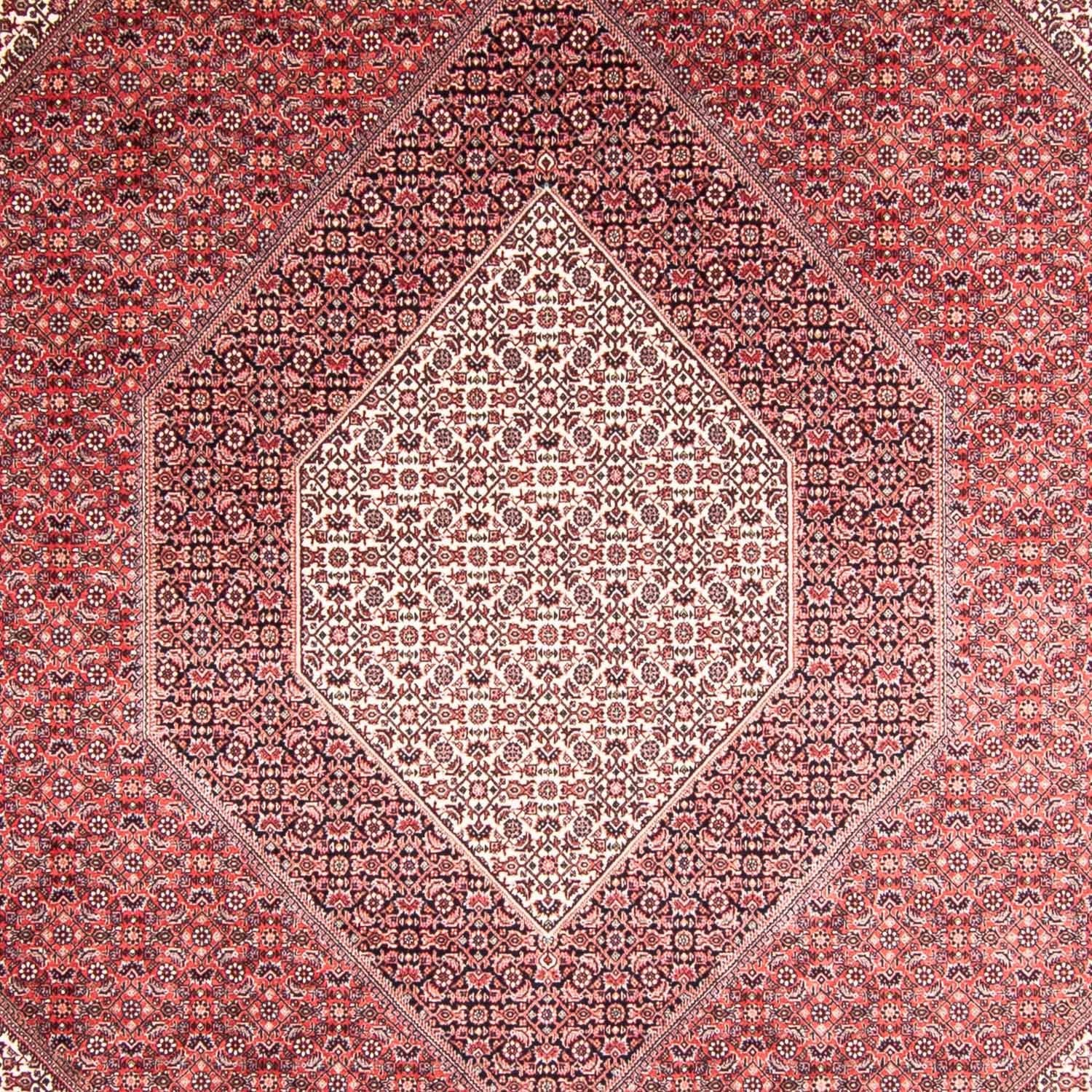 Tapis persan - Bidjar - 355 x 248 cm - rouge clair