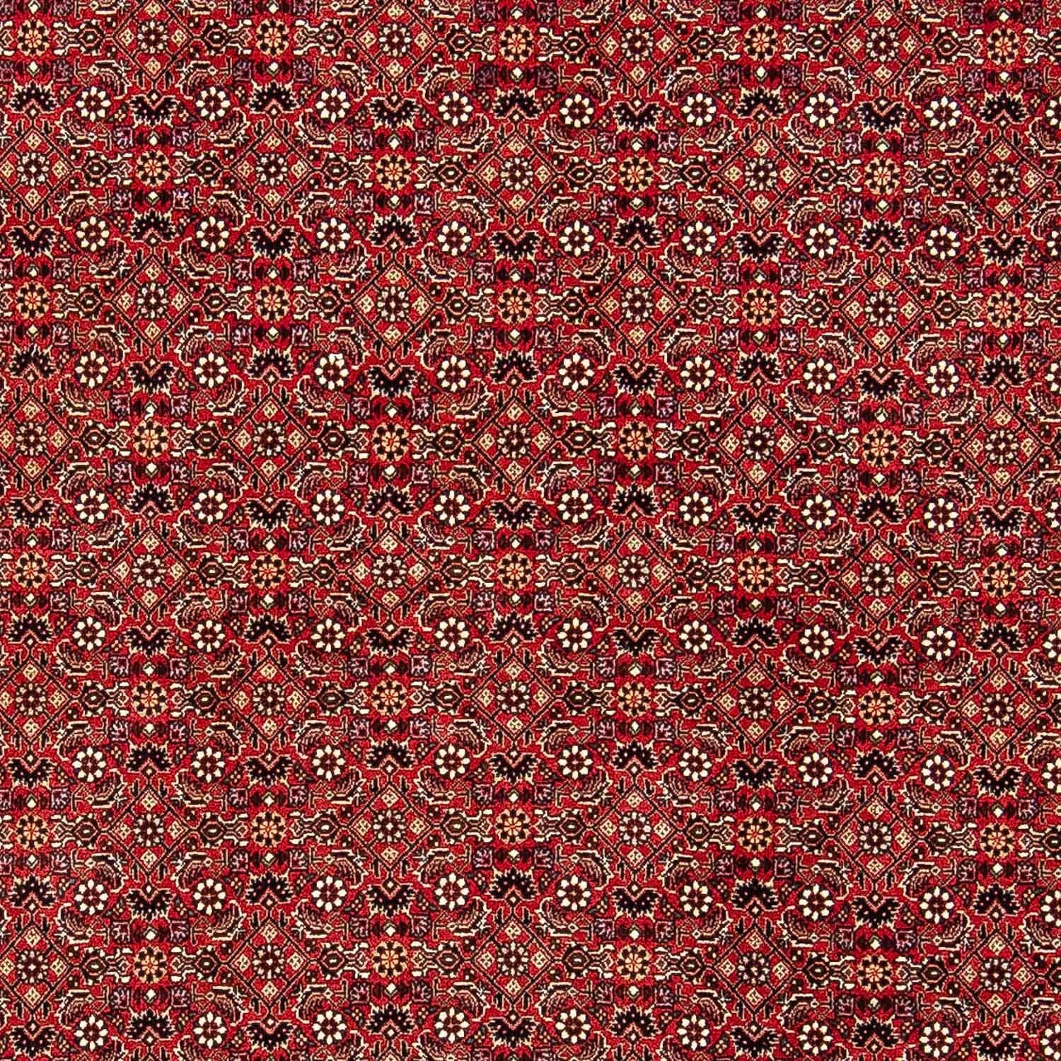 Perserteppich - Bidjar 248 x 174 cm