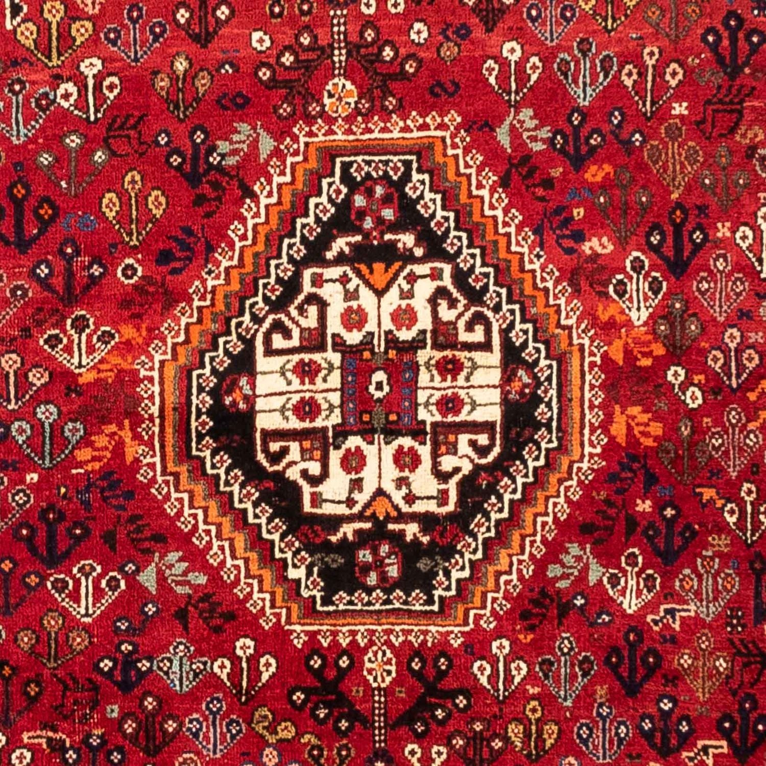 Perserteppich - Nomadic 251 x 176 cm