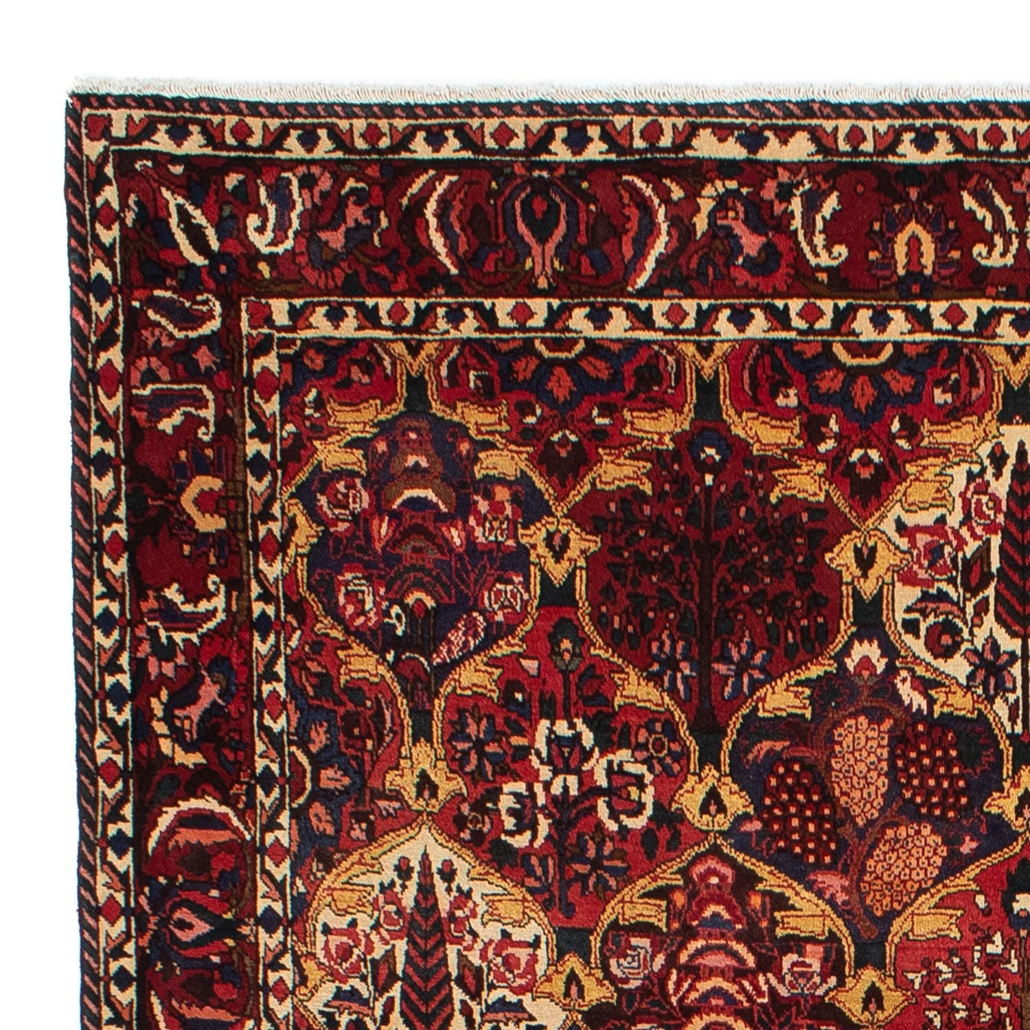 Tapis persan - Nomadic - 305 x 211 cm - rouge