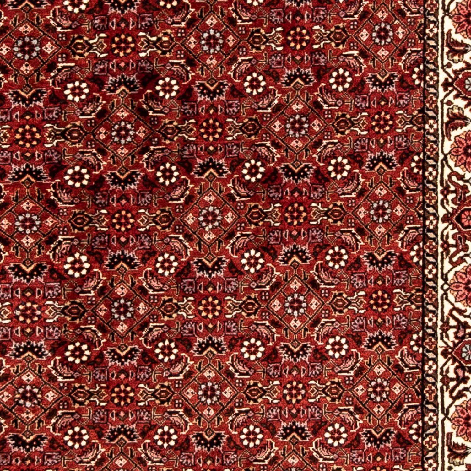 Tapis de couloir Tapis persan - Bidjar - 296 x 82 cm - rouge foncé
