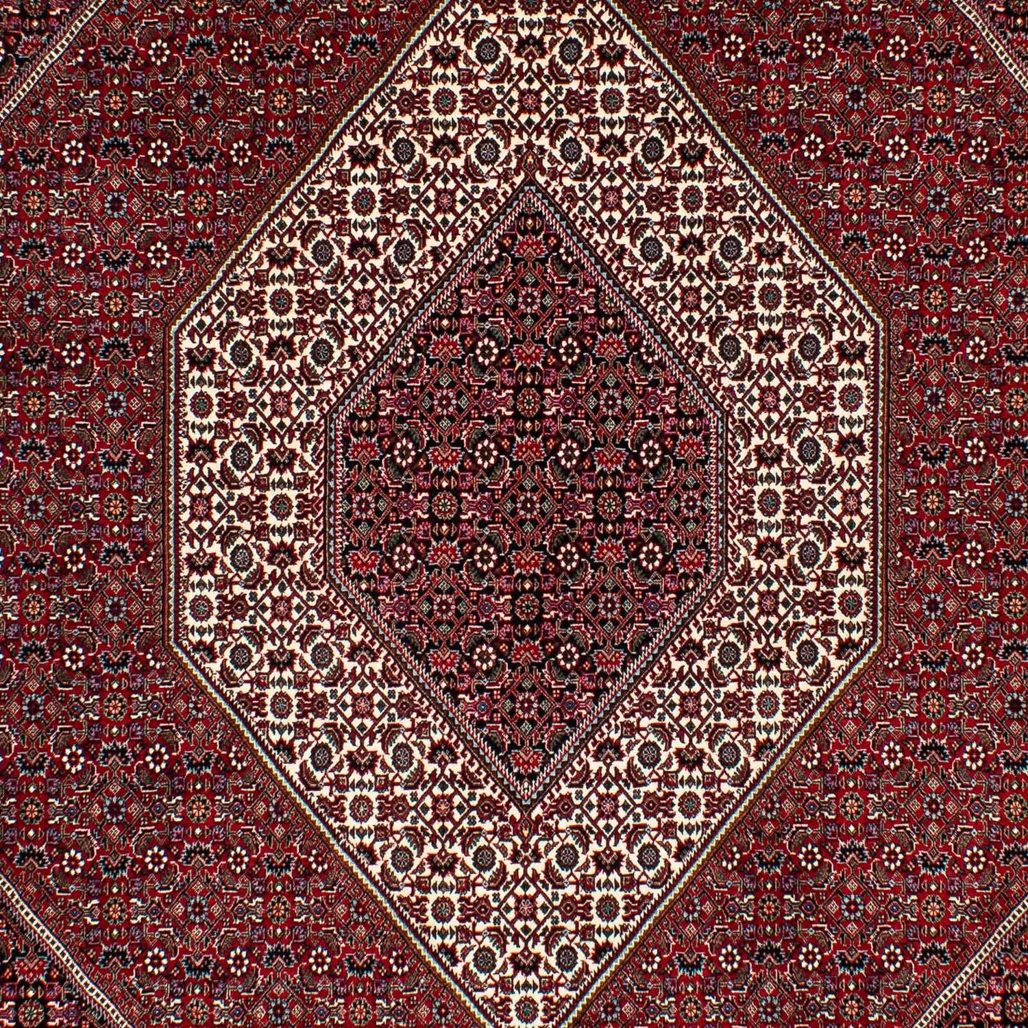 Tapis persan - Bidjar - 295 x 202 cm - rouge foncé