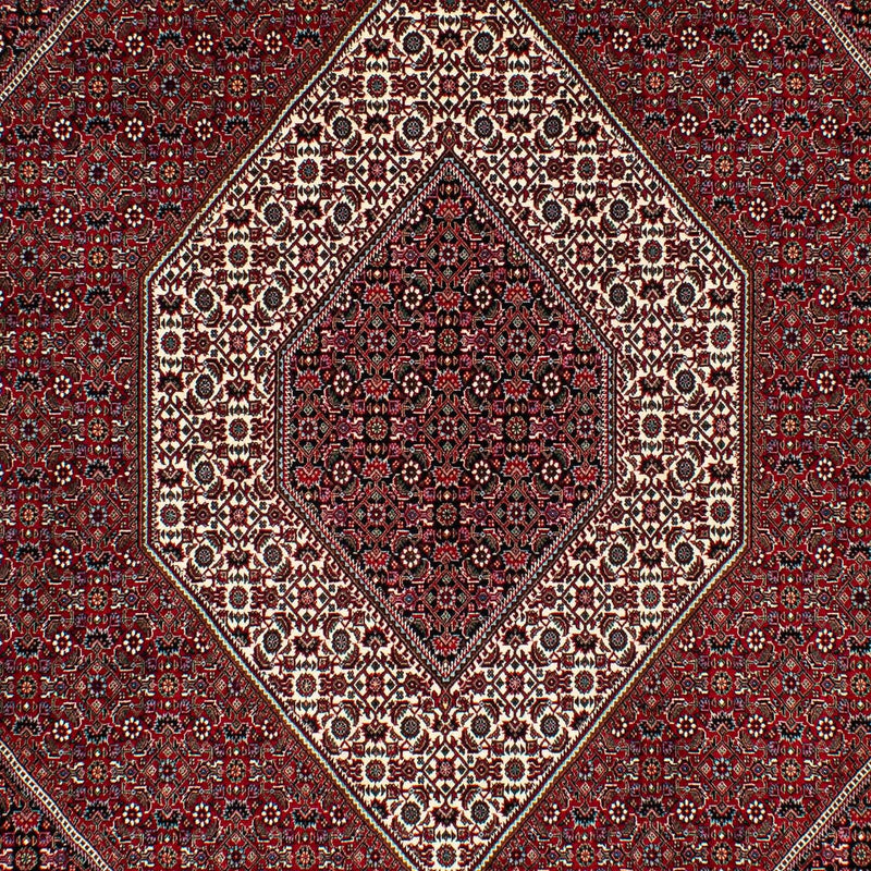 Tapis persan - Bidjar - 295 x 202 cm - rouge foncé