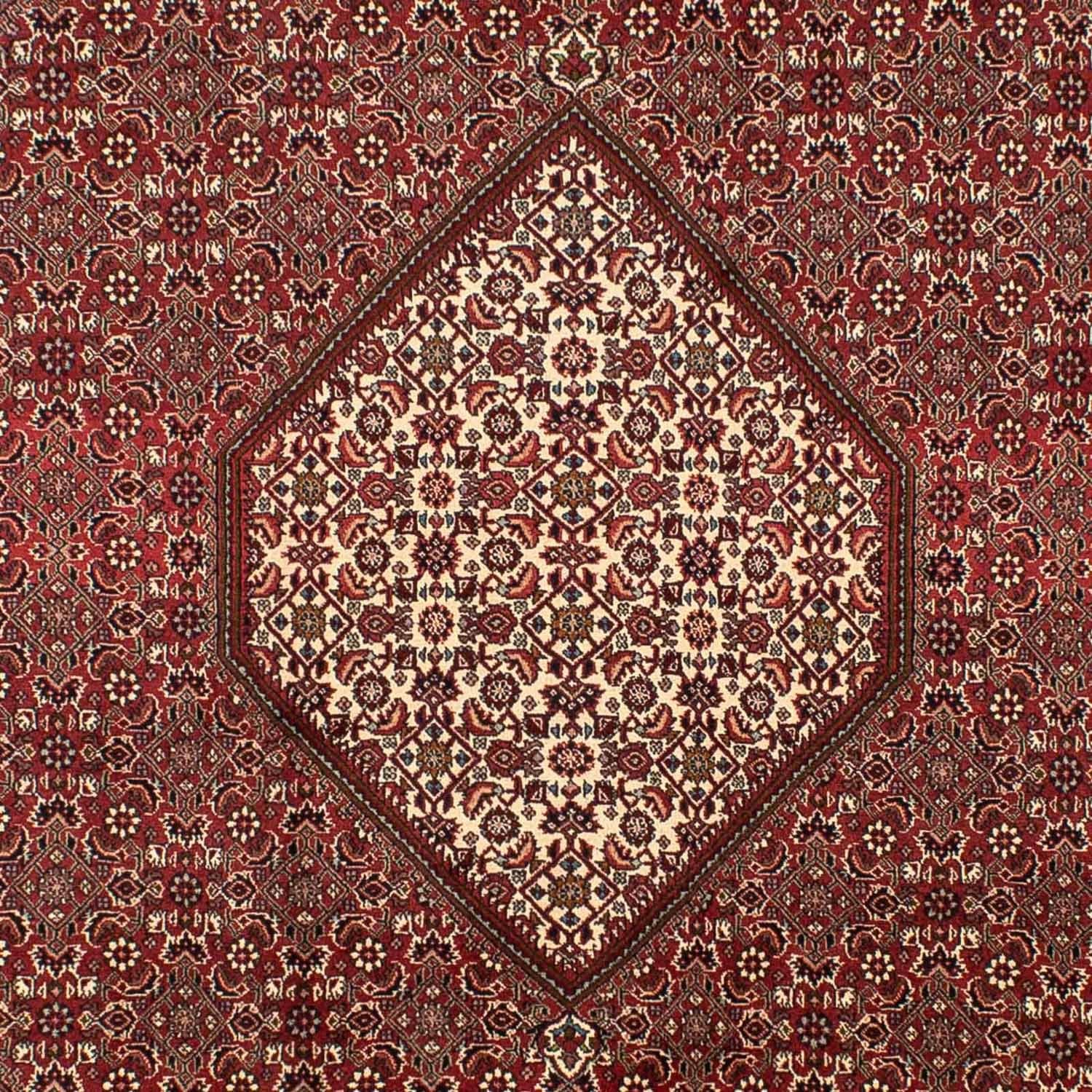 Tapis persan - Bidjar - 295 x 204 cm - marron