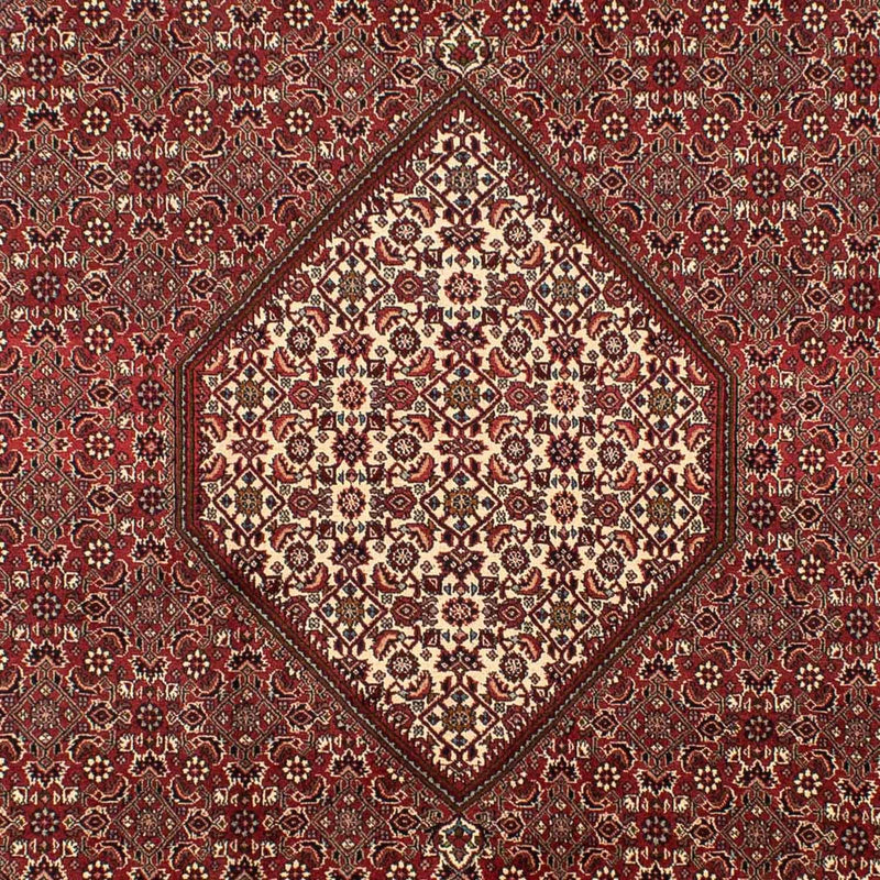 Tapis persan - Bidjar - 295 x 204 cm - marron