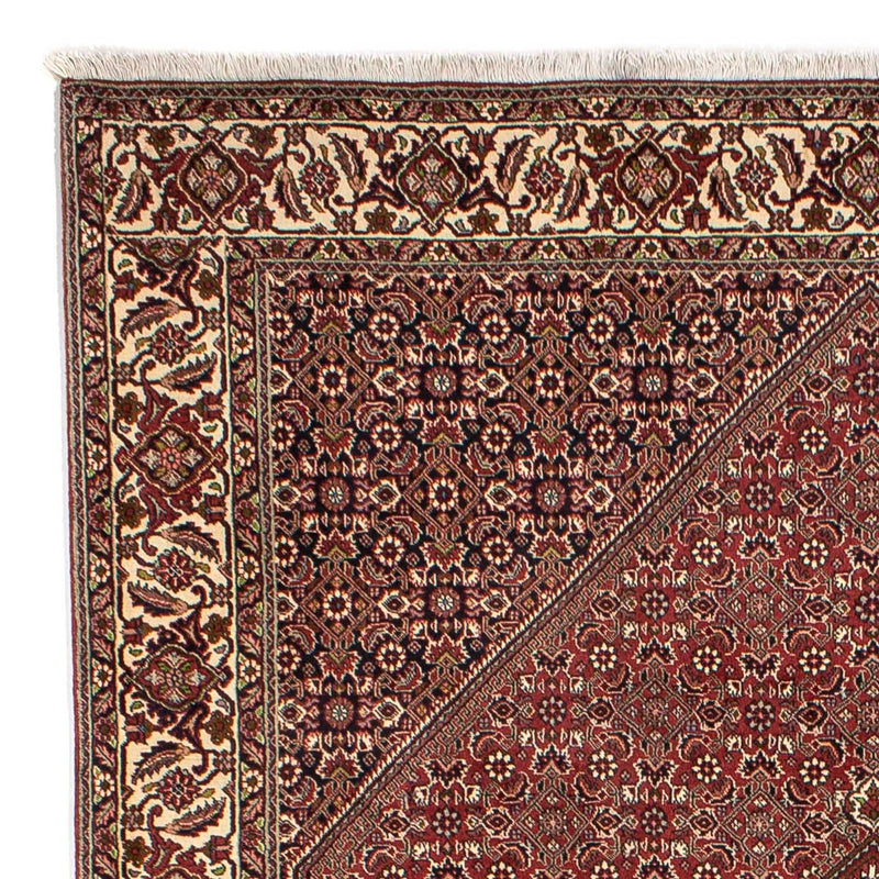 Tapis persan - Bidjar - 295 x 204 cm - marron