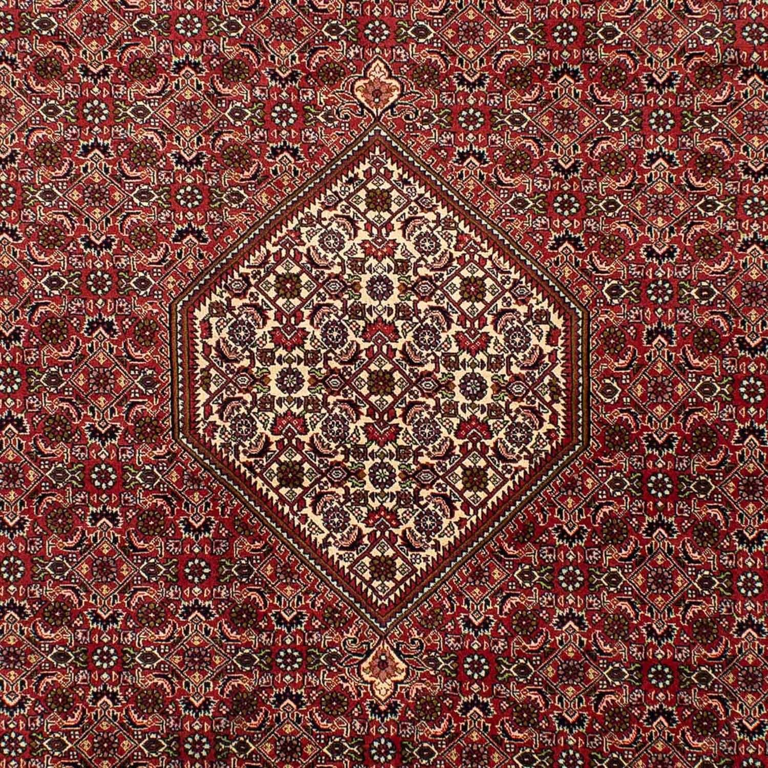 Tapis persan - Bidjar - 302 x 198 cm - rouge clair