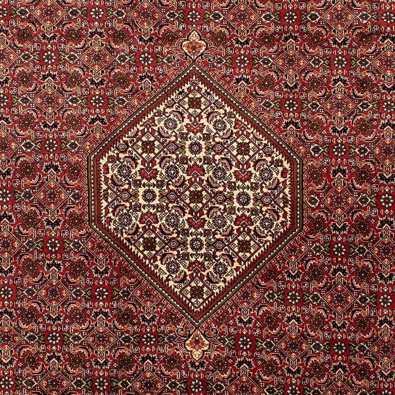 Tapis persan - Bidjar - 302 x 198 cm - rouge clair