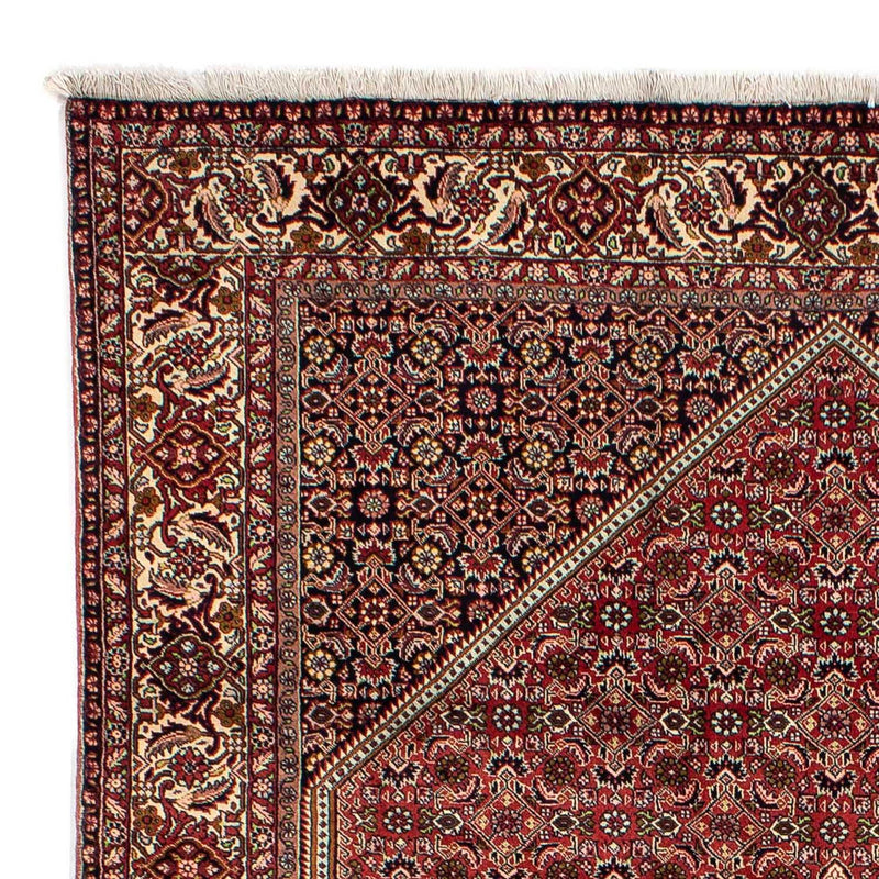 Tapis persan - Bidjar - 302 x 198 cm - rouge clair