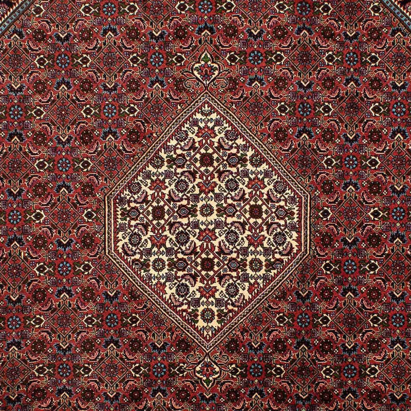 Tapis persan - Bidjar - 302 x 198 cm - marron