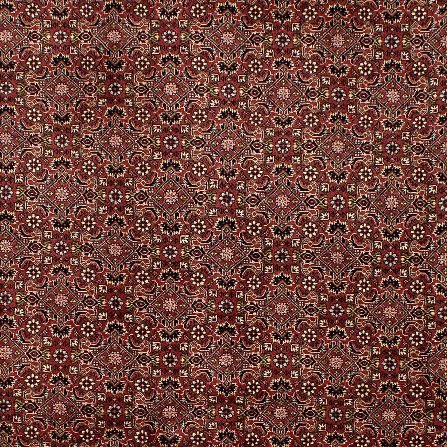 Tapis persan - Bidjar - 292 x 198 cm - marron