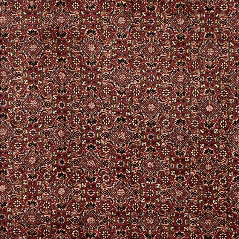 Tapis persan - Bidjar - 292 x 198 cm - marron