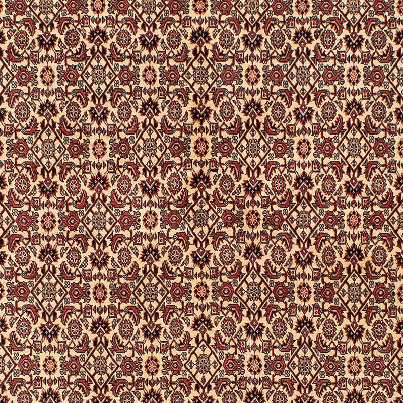 Perserteppich - Bidjar 254 x 171 cm - braun