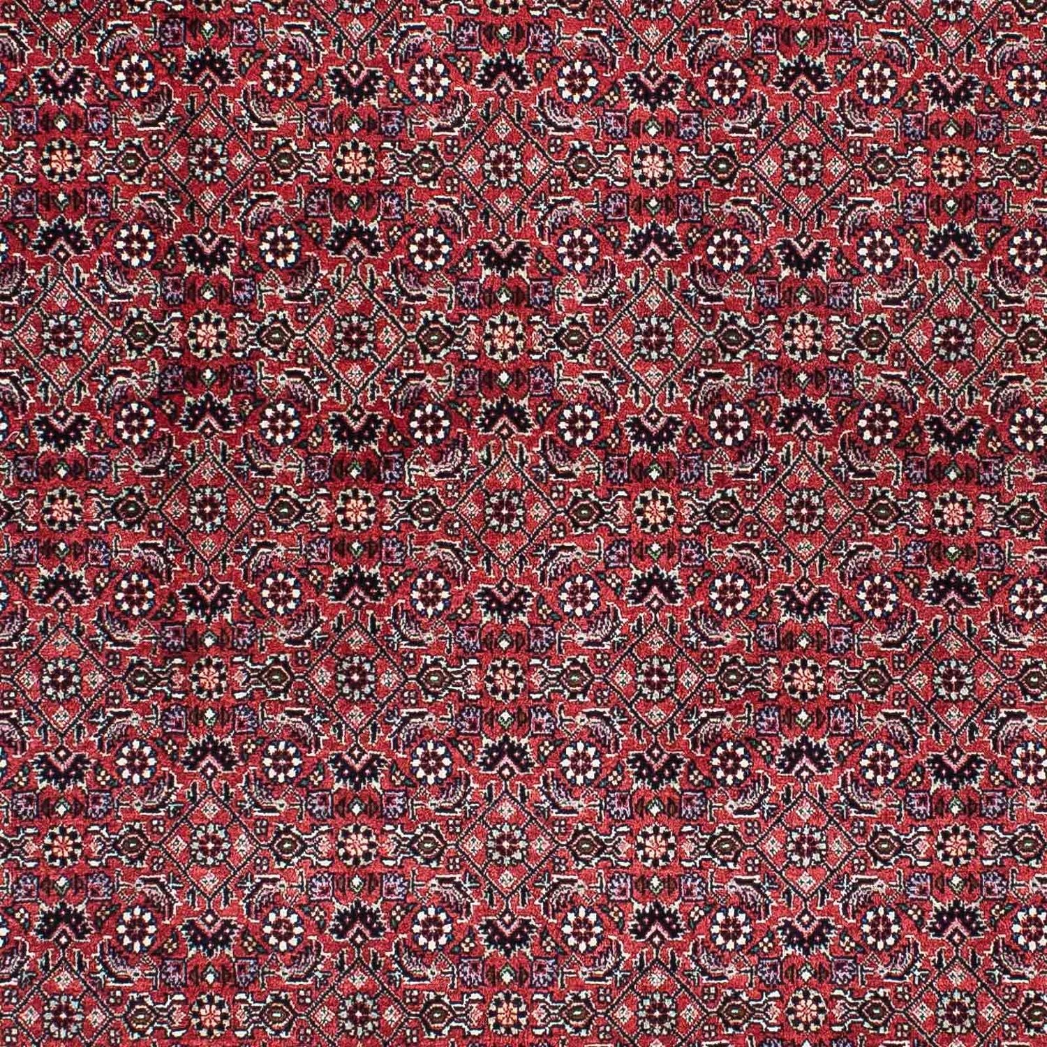 Tapis persan - Bidjar - 200 x 133 cm - rouge clair