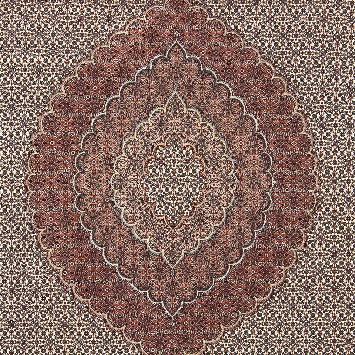 Tapis persan - Tabriz - 300 x 250 cm - multicolore