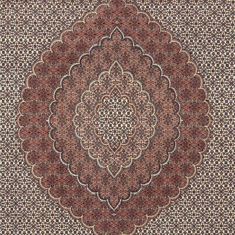 Tapis persan - Tabriz - 300 x 250 cm - multicolore