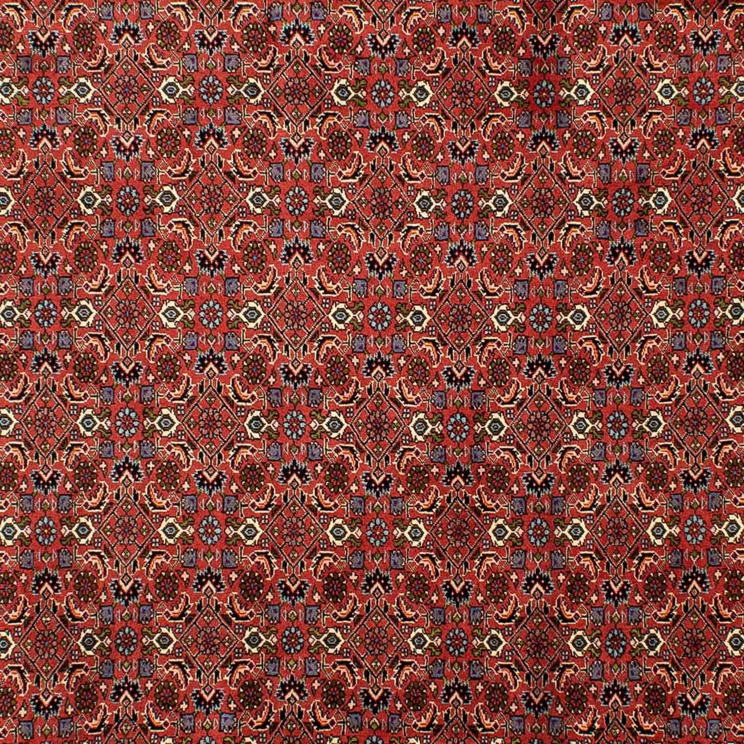 Perserteppich - Bidjar 290 x 200 cm