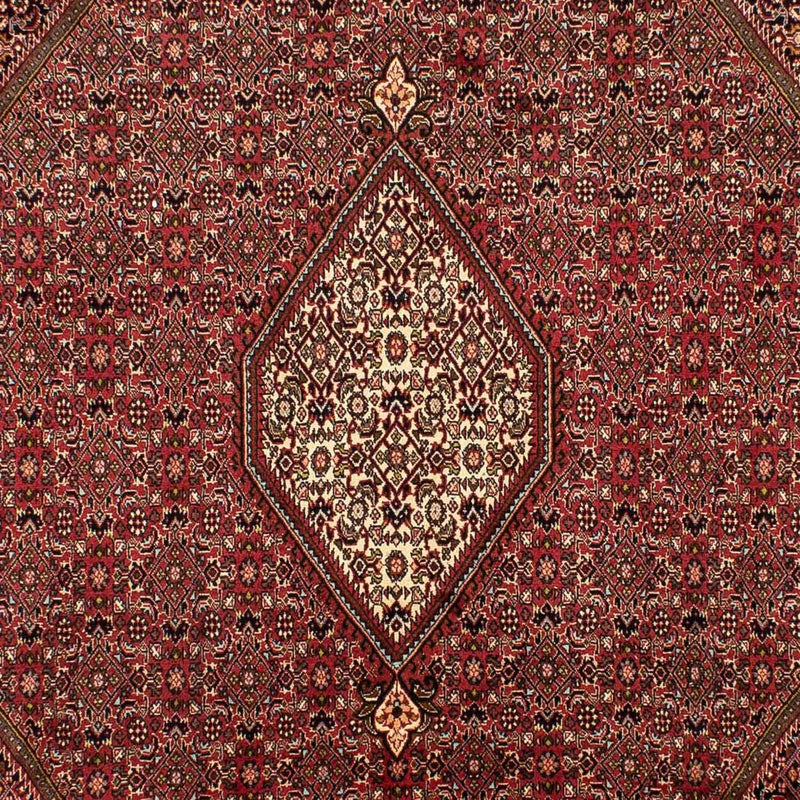 Tapis persan - Bidjar - 305 x 202 cm - marron