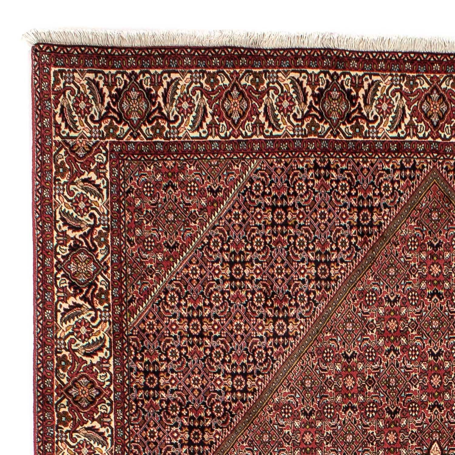 Tapis persan - Bidjar - 305 x 202 cm - marron