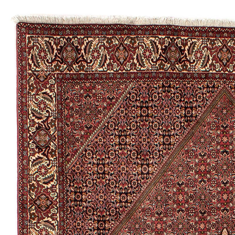 Tapis persan - Bidjar - 305 x 202 cm - marron