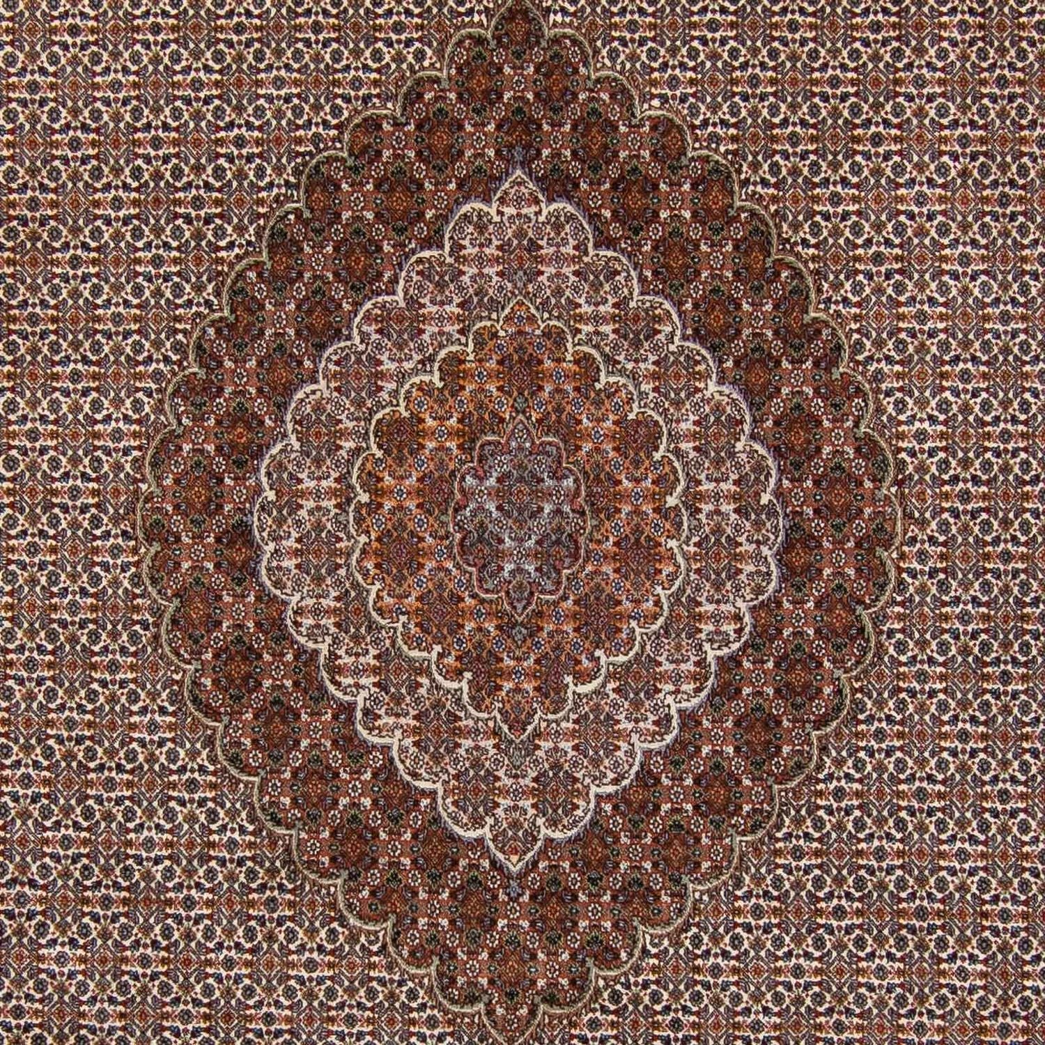 Tapis persan - Tabriz - 341 x 251 cm - marron foncé