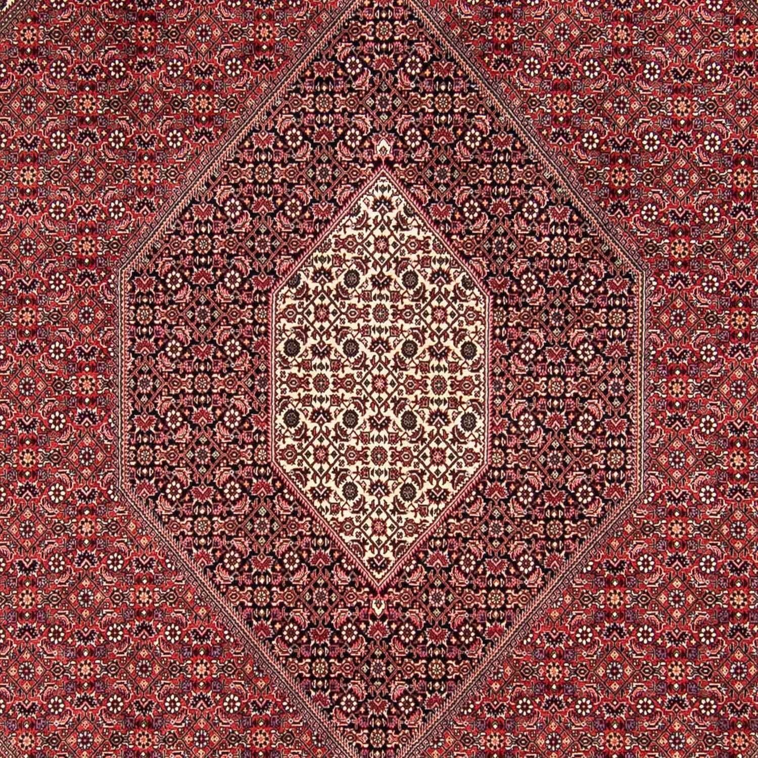Tapis persan - Bidjar - 295 x 251 cm - rouge foncé