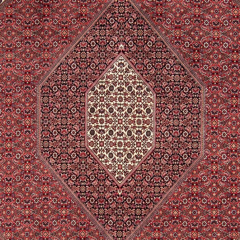 Tapis persan - Bidjar - 295 x 251 cm - rouge foncé