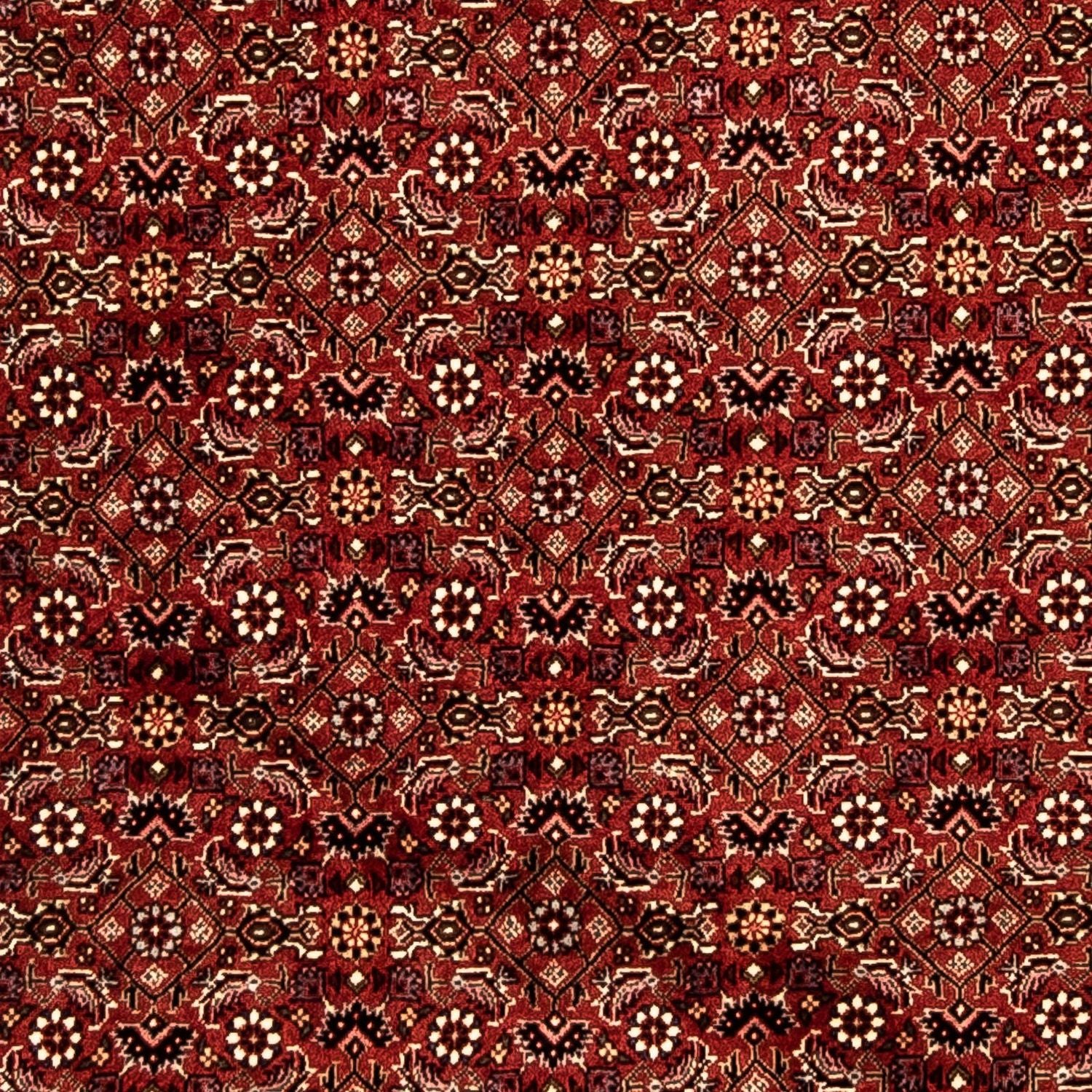 Tapis de couloir Tapis persan - Bidjar - 288 x 85 cm - multicolore