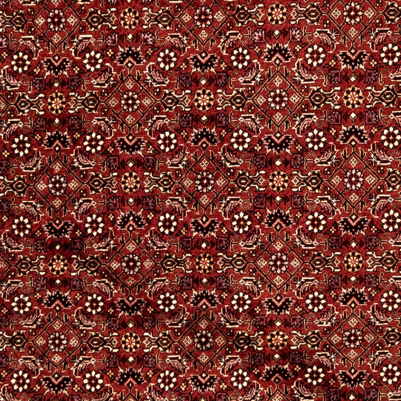 Tapis de couloir Tapis persan - Bidjar - 288 x 85 cm - multicolore