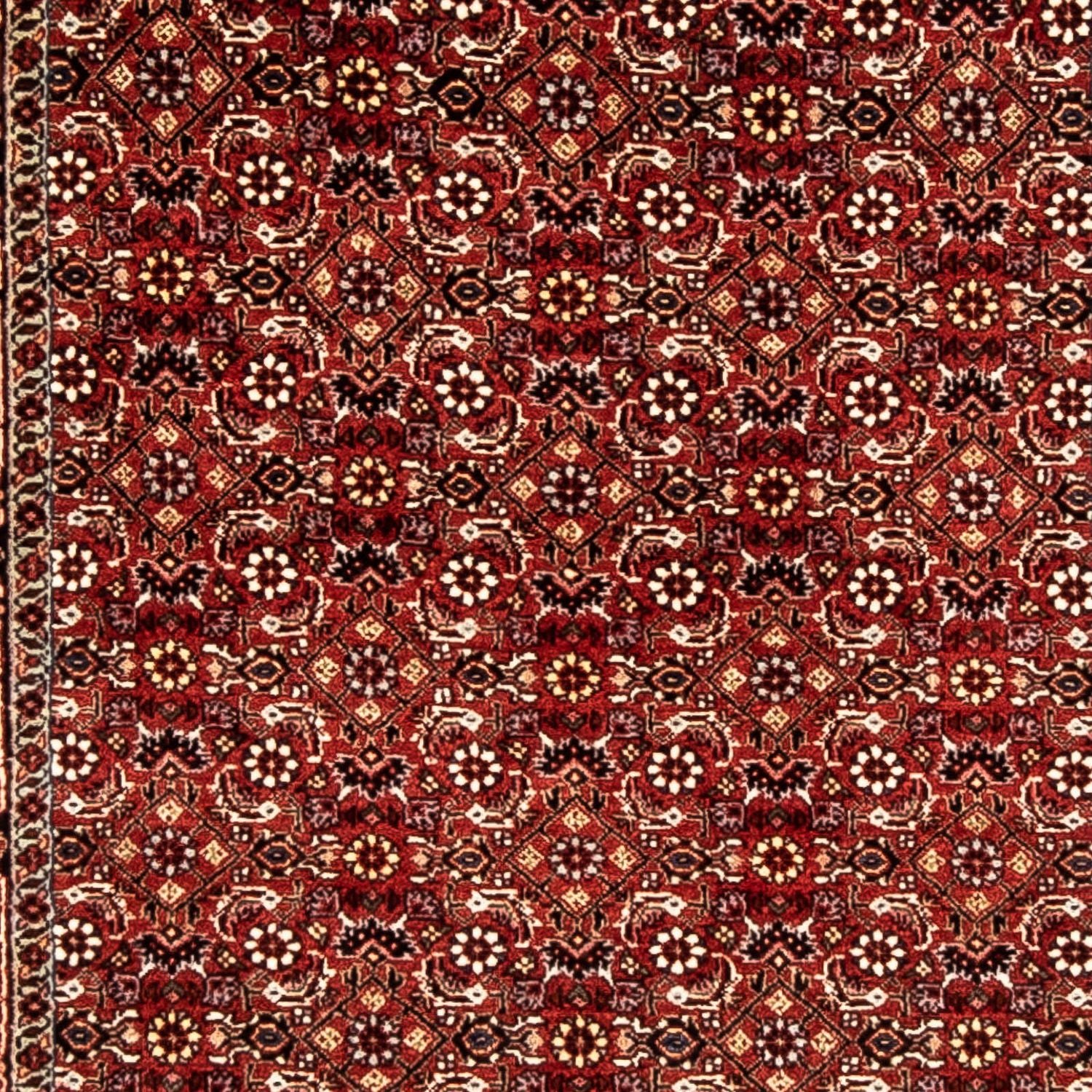Tapis de couloir Tapis persan - Bidjar - 298 x 80 cm - rouge foncé