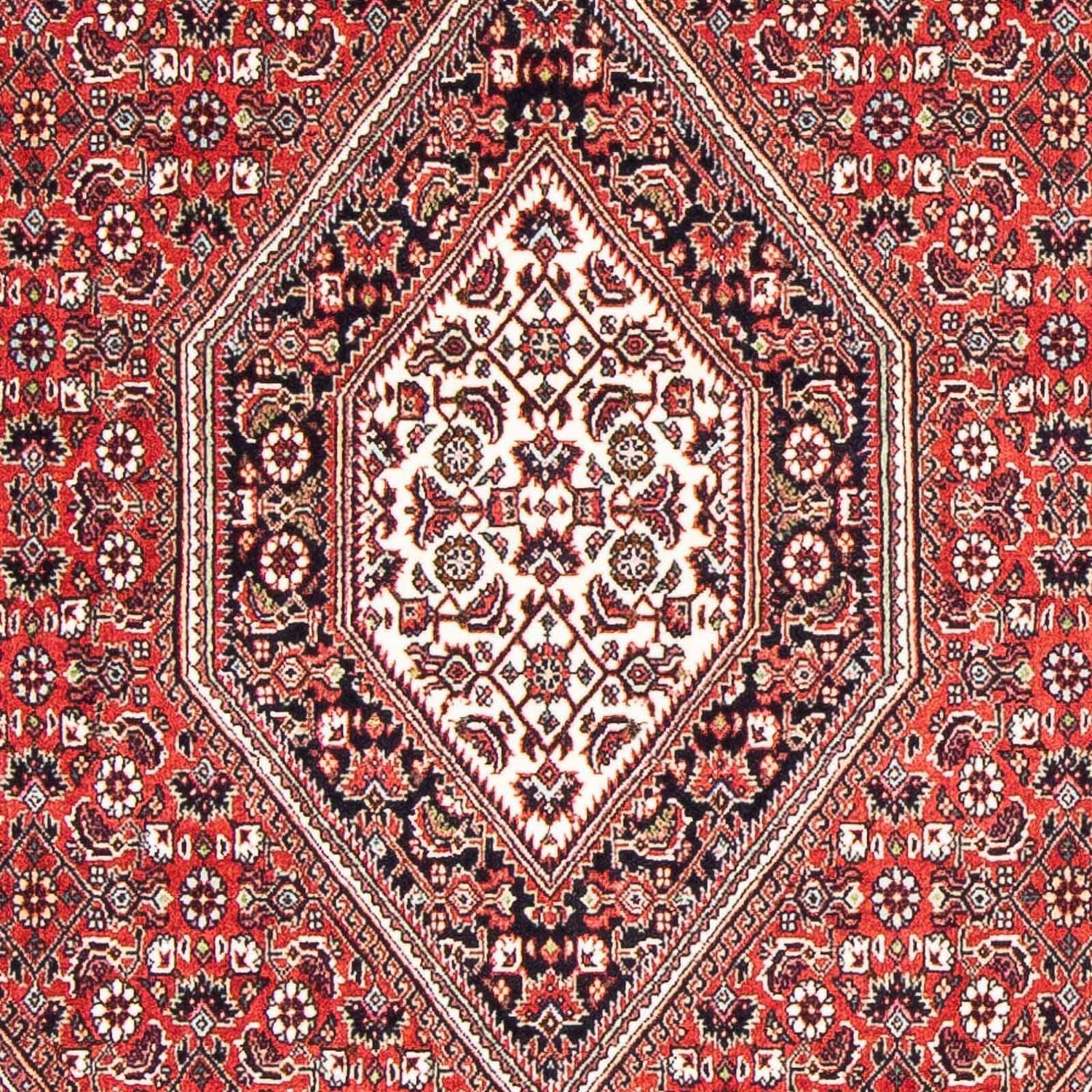 Tapis persan - Bidjar - 176 x 110 cm - rouge
