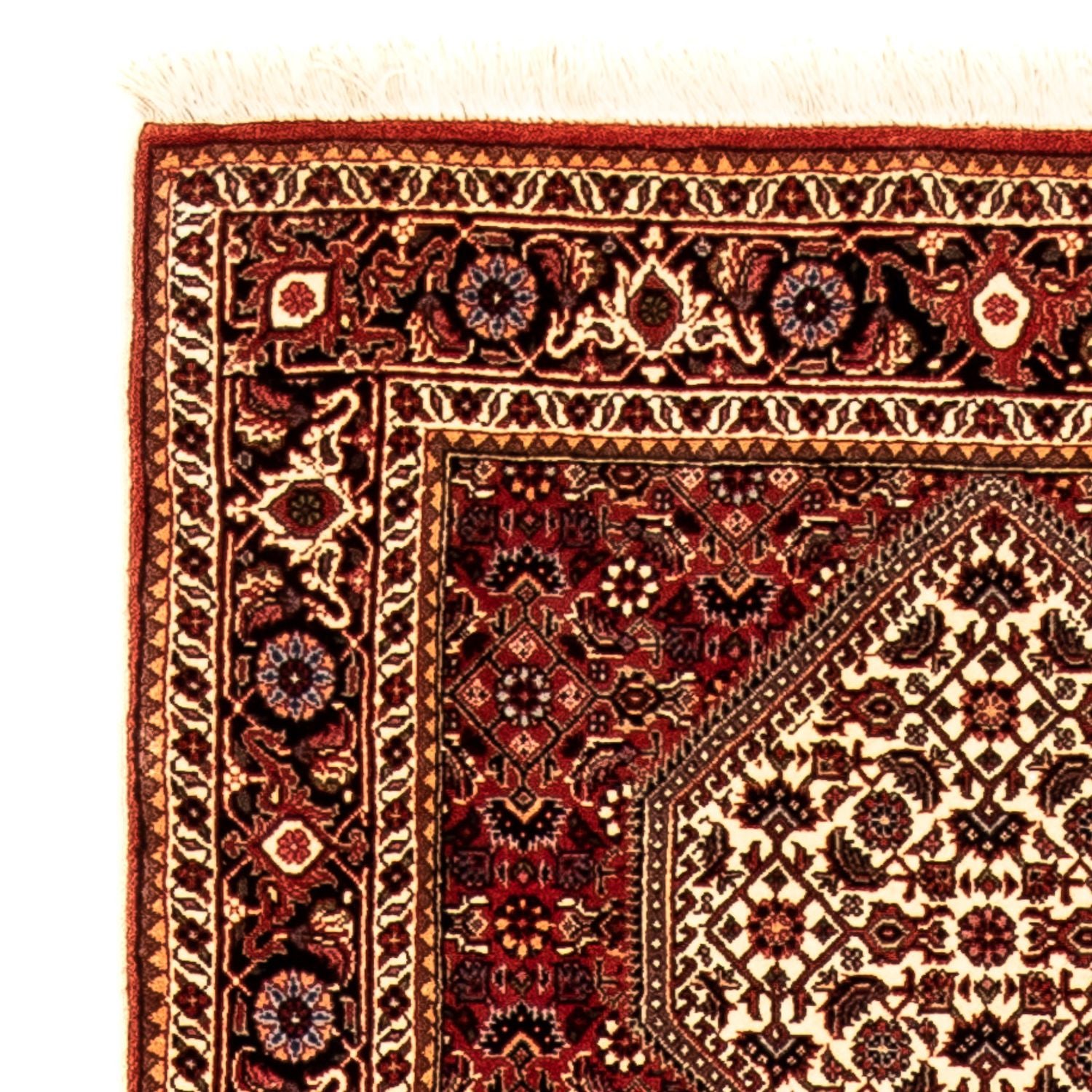 Tapis de couloir Tapis persan - Bidjar - 304 x 81 cm - multicolore
