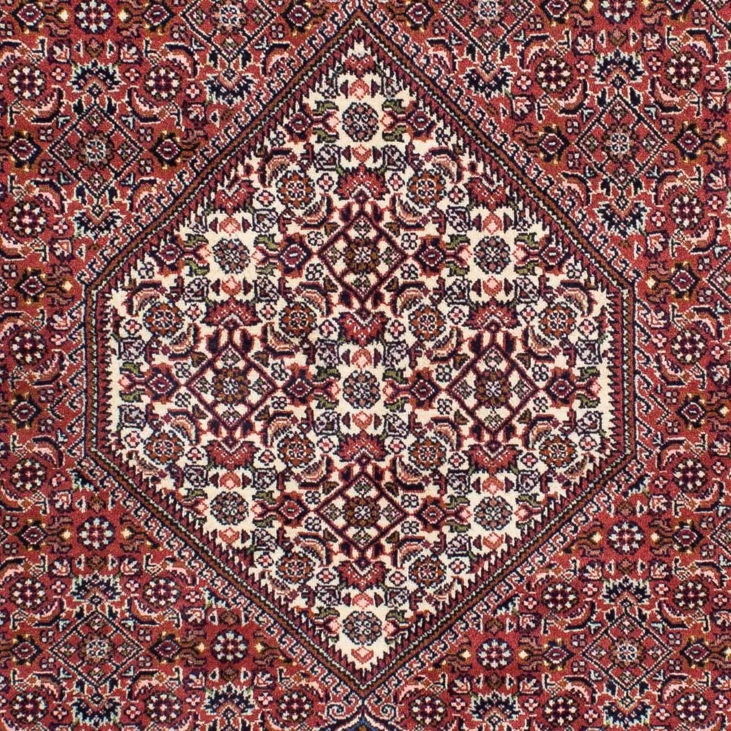 Tapis persan - Bidjar - 228 x 138 cm - rouge