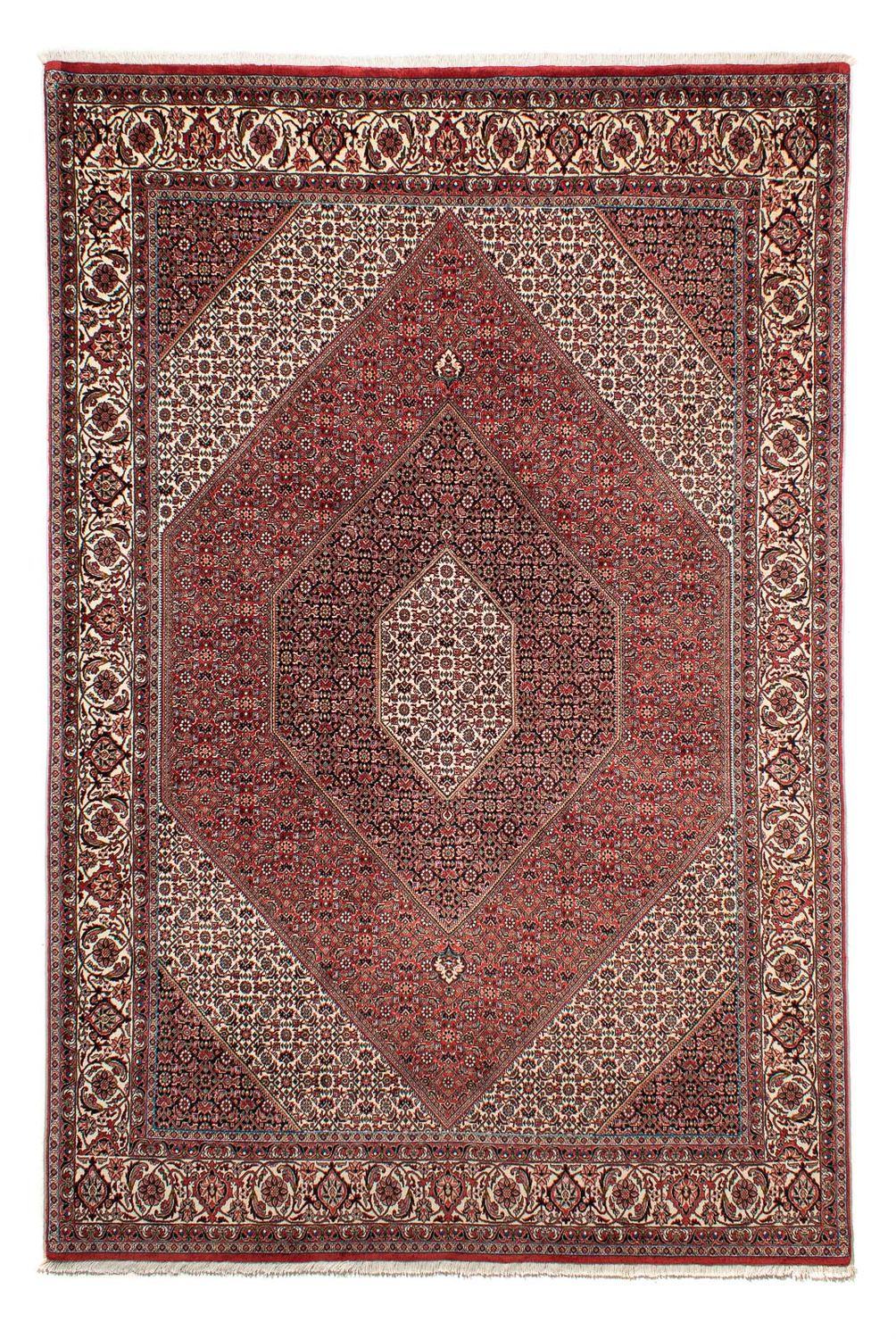 Tapis persan - Bidjar - 294 x 204 cm - rouge clair