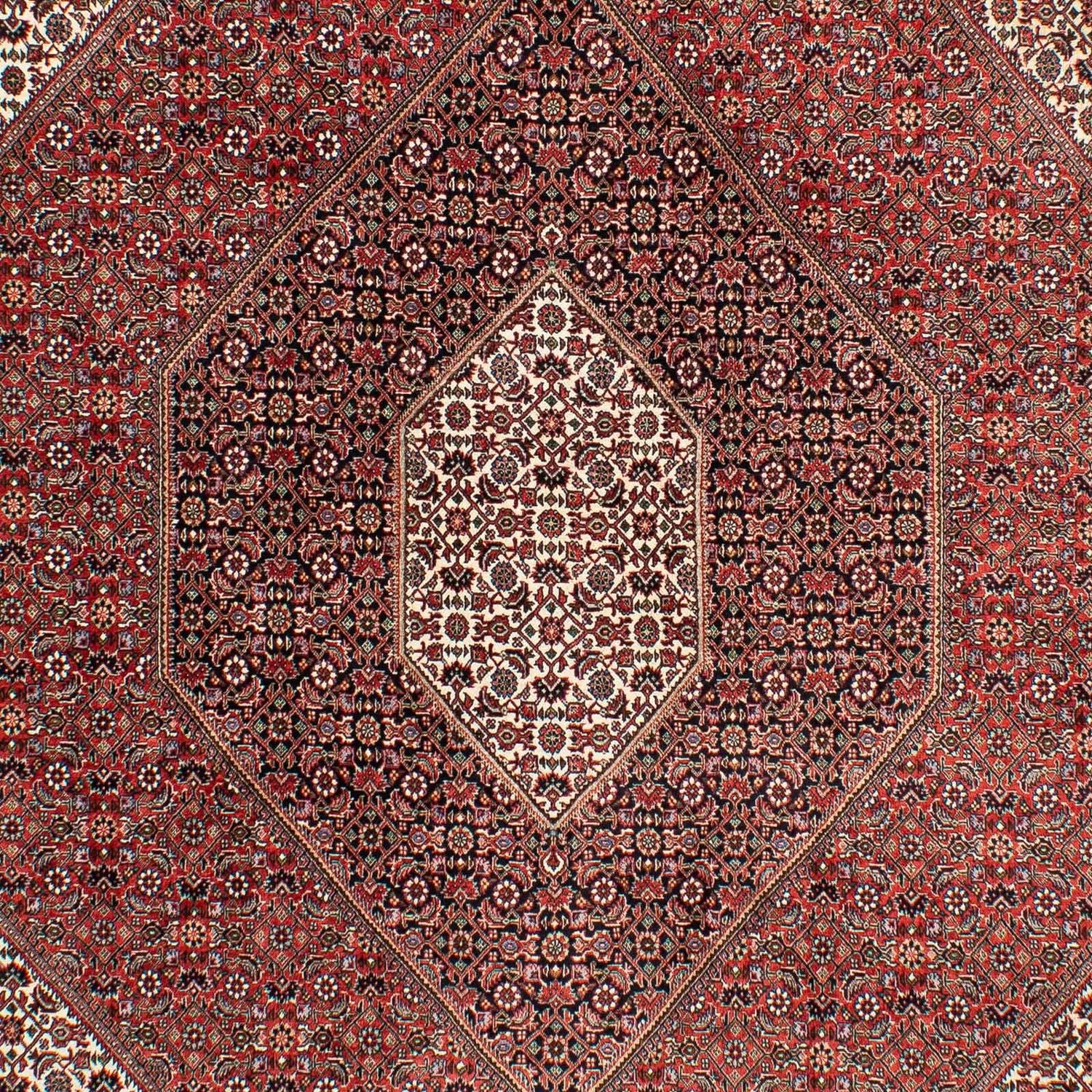 Tapis persan - Bidjar - 294 x 204 cm - rouge clair